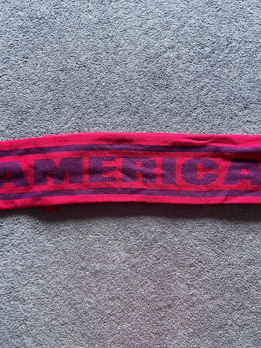 American Eagle Red & Purple Scarf